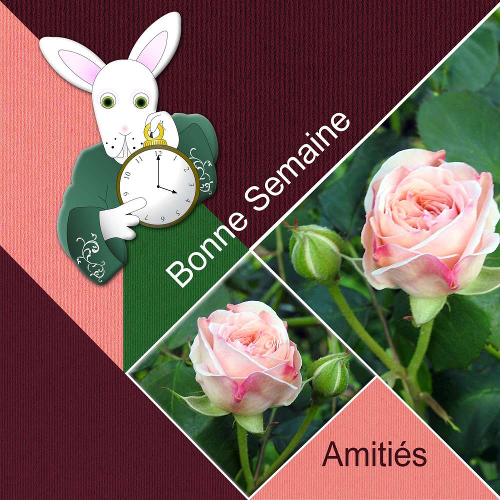 3-REALISATION - BONNE SEMAINE AMITIES