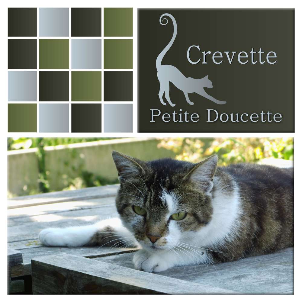 3-REALISATION - CREVETTE PETITE DOUCETTE