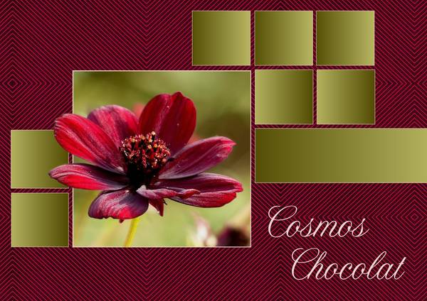 3-REALISATION DU CHALLENGE - COSMOS CHOCOLAT