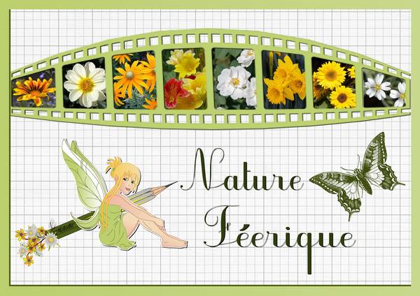 3-REALISATION DU CHALLENGE - NATURE FEERIQUE