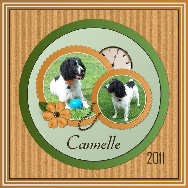 3-REALISATION D'UNE COMPOSITION - CANNELLE EN 2011