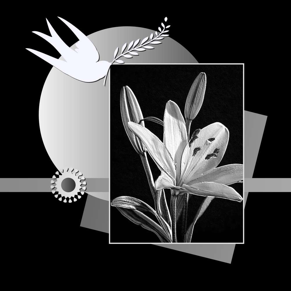 3-REALISATION - EN NOIR ET BLANC