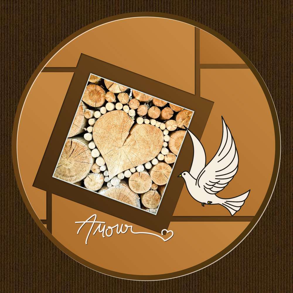 3-REALISATION - FAIRE UNE CREATION A PARTIR D'UNE PHOTO PROPOSEE - AMOUR