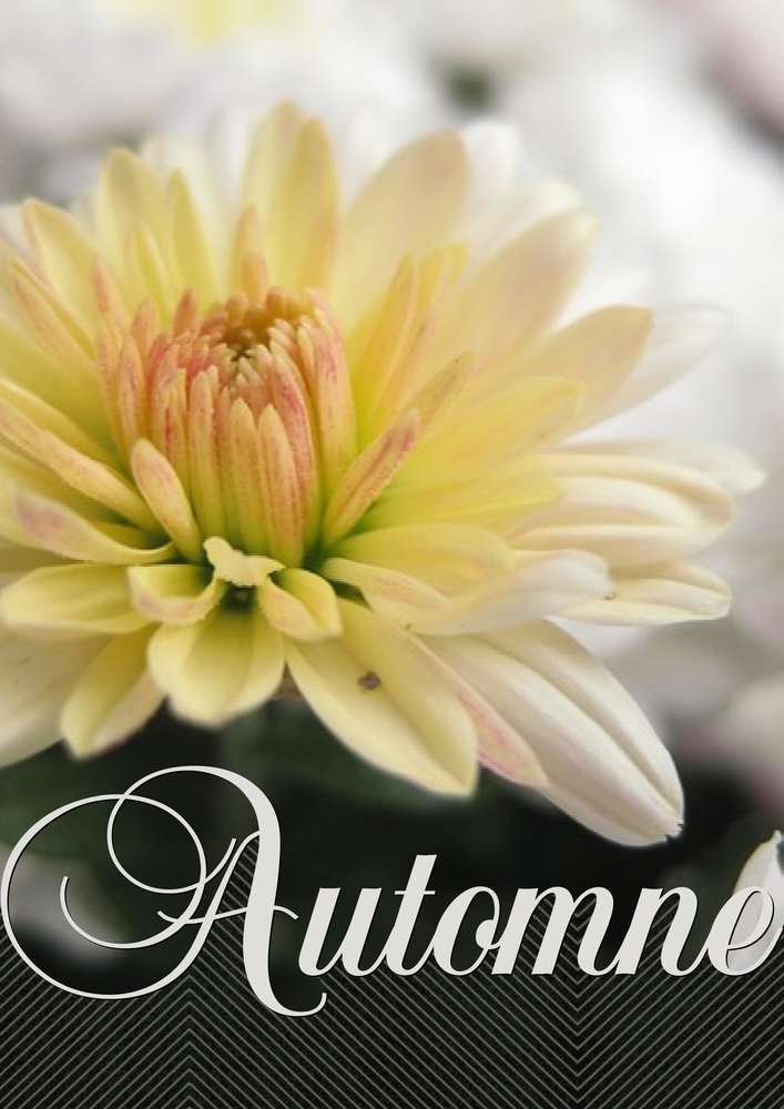 3-REALISATION - FAIRE UNE CREATION A PARTIR D'UNE PHOTO PROPOSEE - AUTOMNE