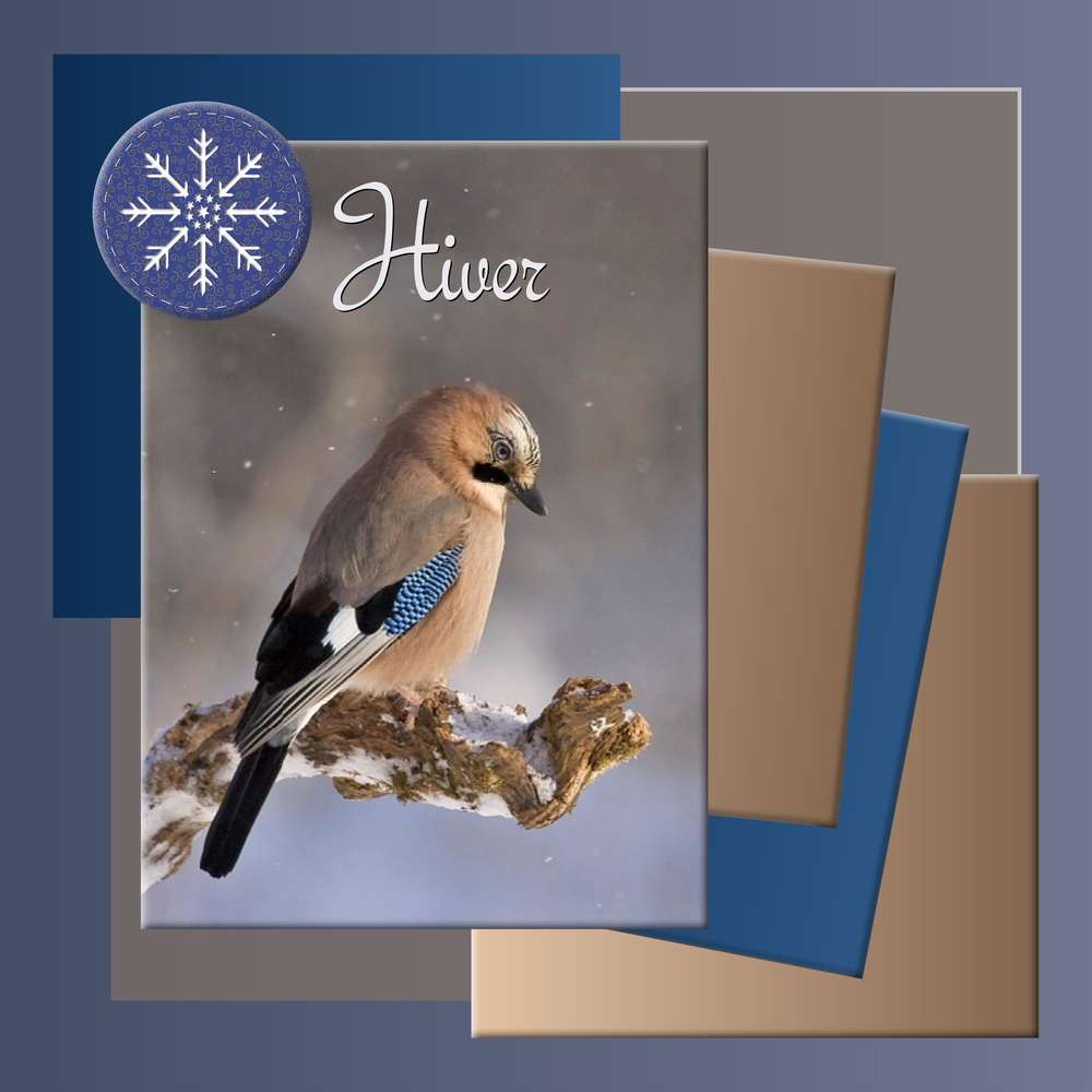 3-REALISATION - HIVER