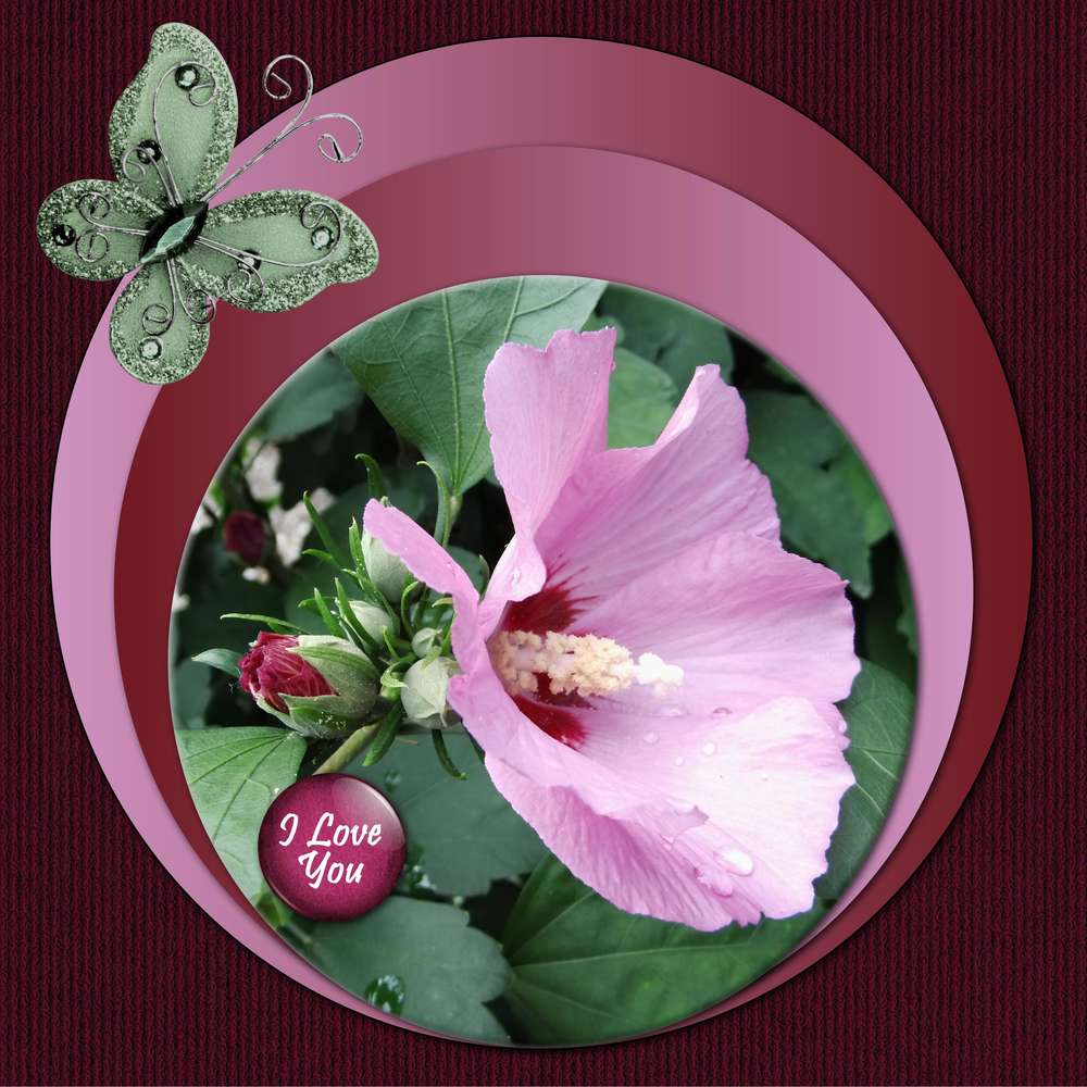 3-REALISATION - I LOVE YOU