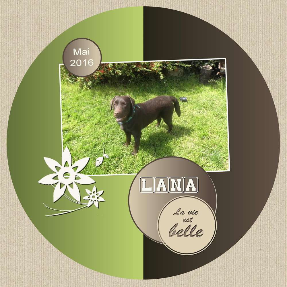 3-REALISATION - LANA LA VIE EST BELLE