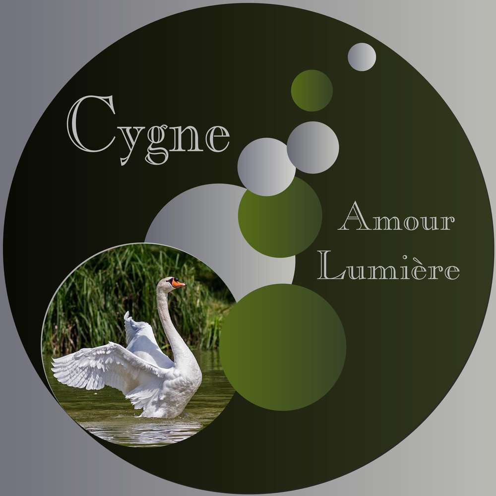 3-REALISATION - LE CYGNE