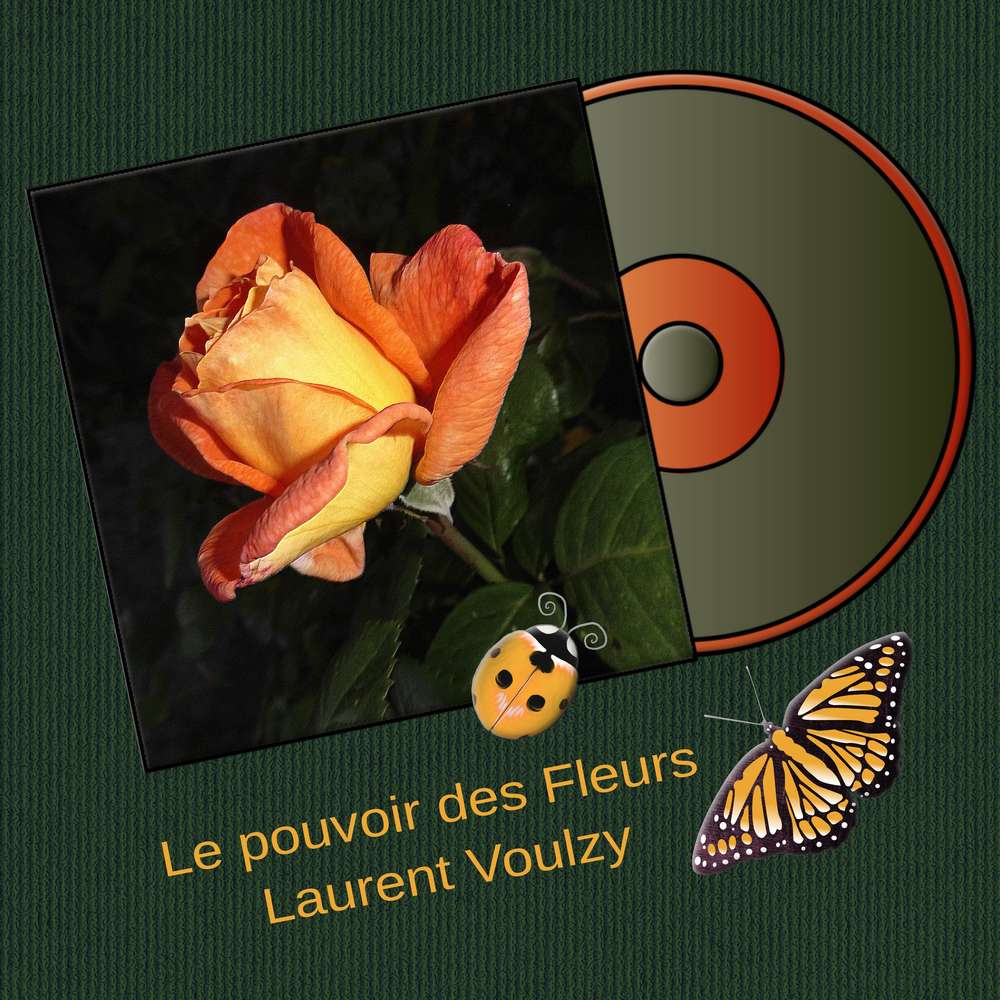 3-REALISATION - LE POUVOIR DES FLEURS
