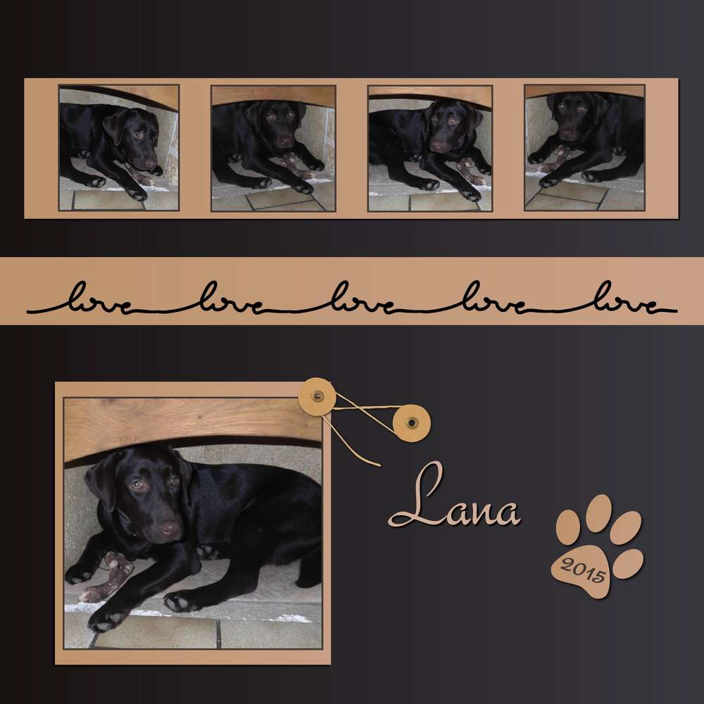 3-REALISATION - LOVE LANA