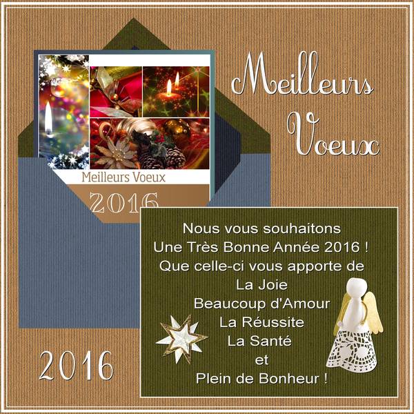 3-REALISATION - MEILLEURS VOEUX 2016