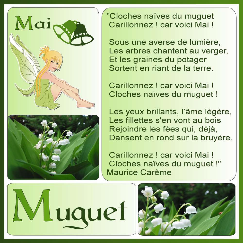 3-REALISATION - MUGUET