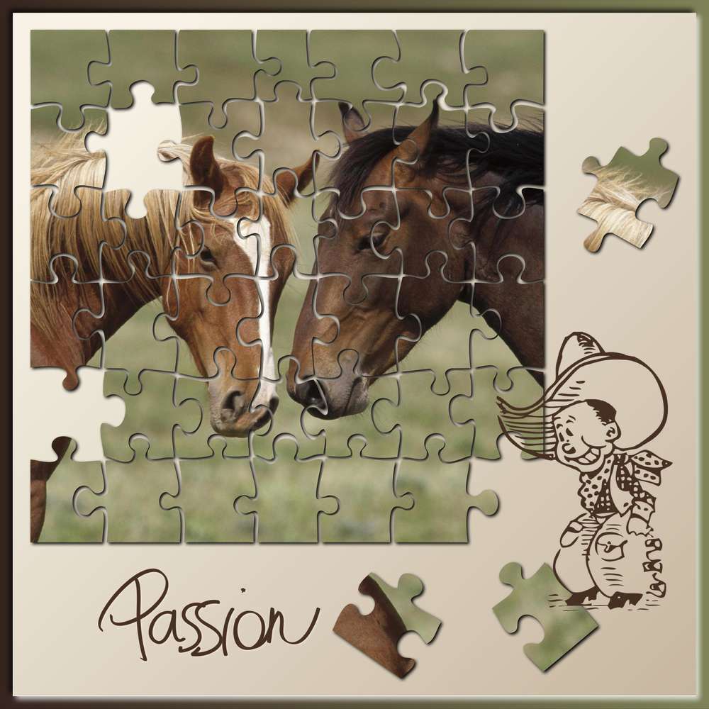 3-REALISATION - PASSION