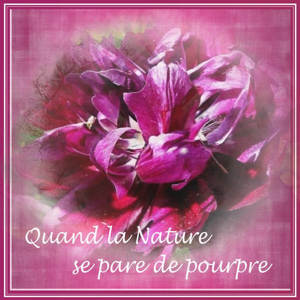 3-REALISATION - QUAND LA NATURE SE PARE DE POURPRE