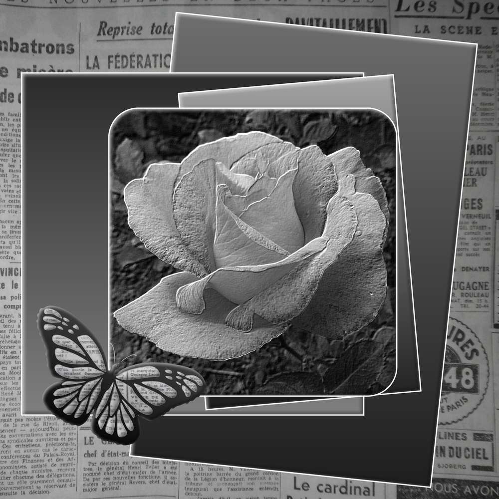 3-REALISATION - ROSE REINE DES FLEURS