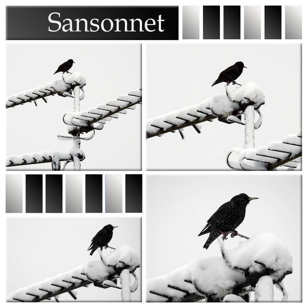 3-REALISATION - SANSONNET