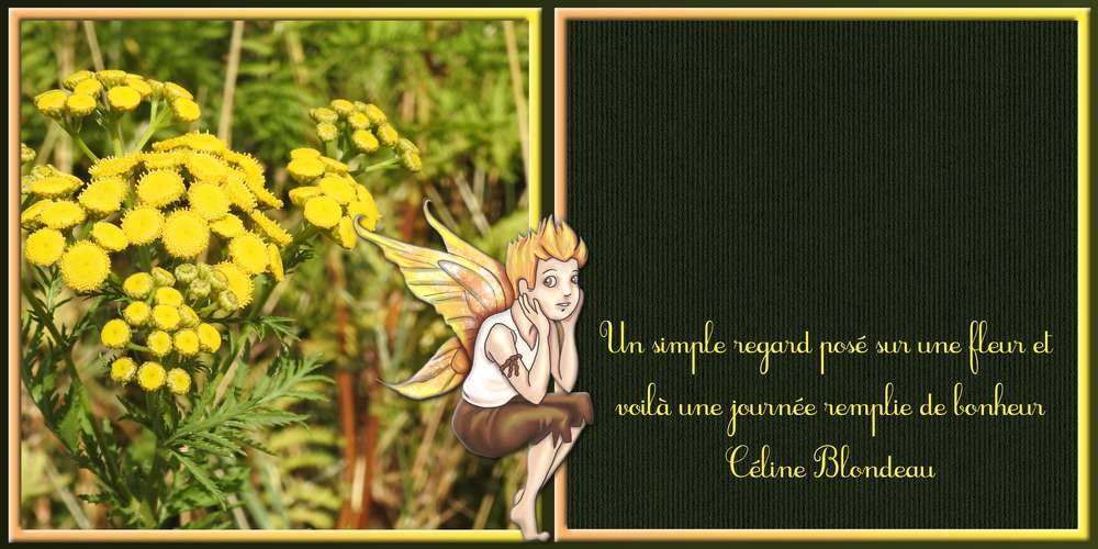 3-REALISATION - UN BONHEUR PARTAGE