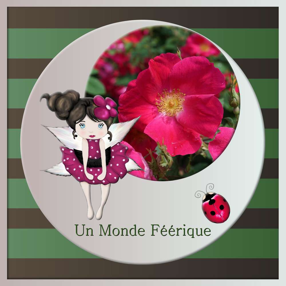 3-REALISATION - UN MONDE FEERIQUE