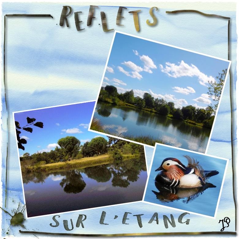 3 reflet sur l etang.jpg