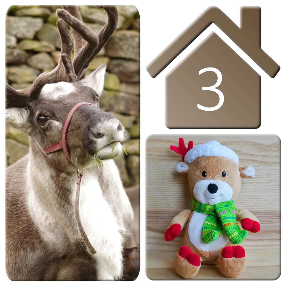 3-RENNE - LE CALENDRIER DE L'AVENT - (2)