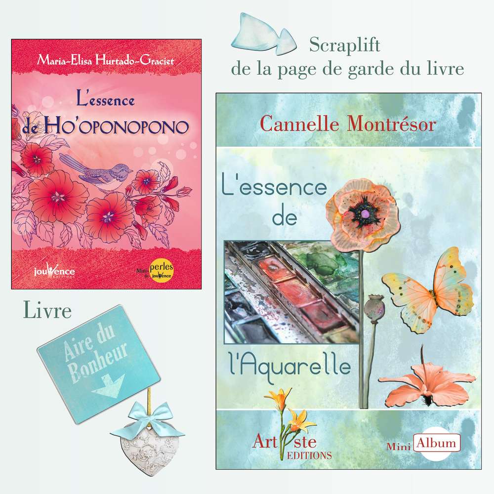 3-SCRAPLIFT D'UNE PAGE DE GARDE D'UN LIVRE