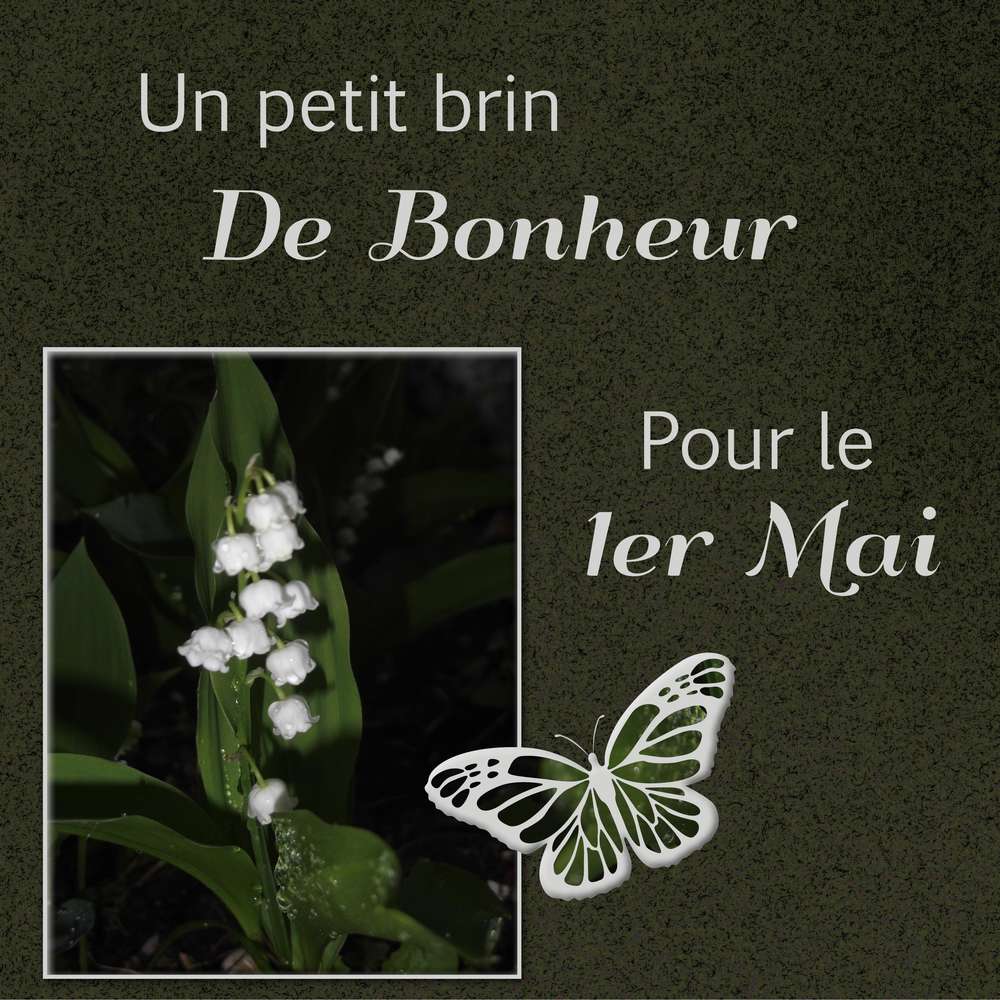 3-TOUT SIMPLEMENT MERCI