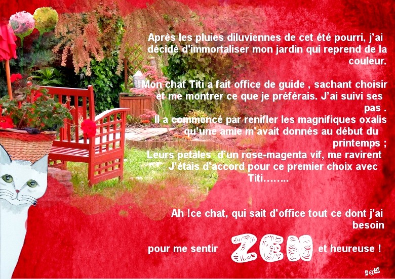 30 octobre zenitude