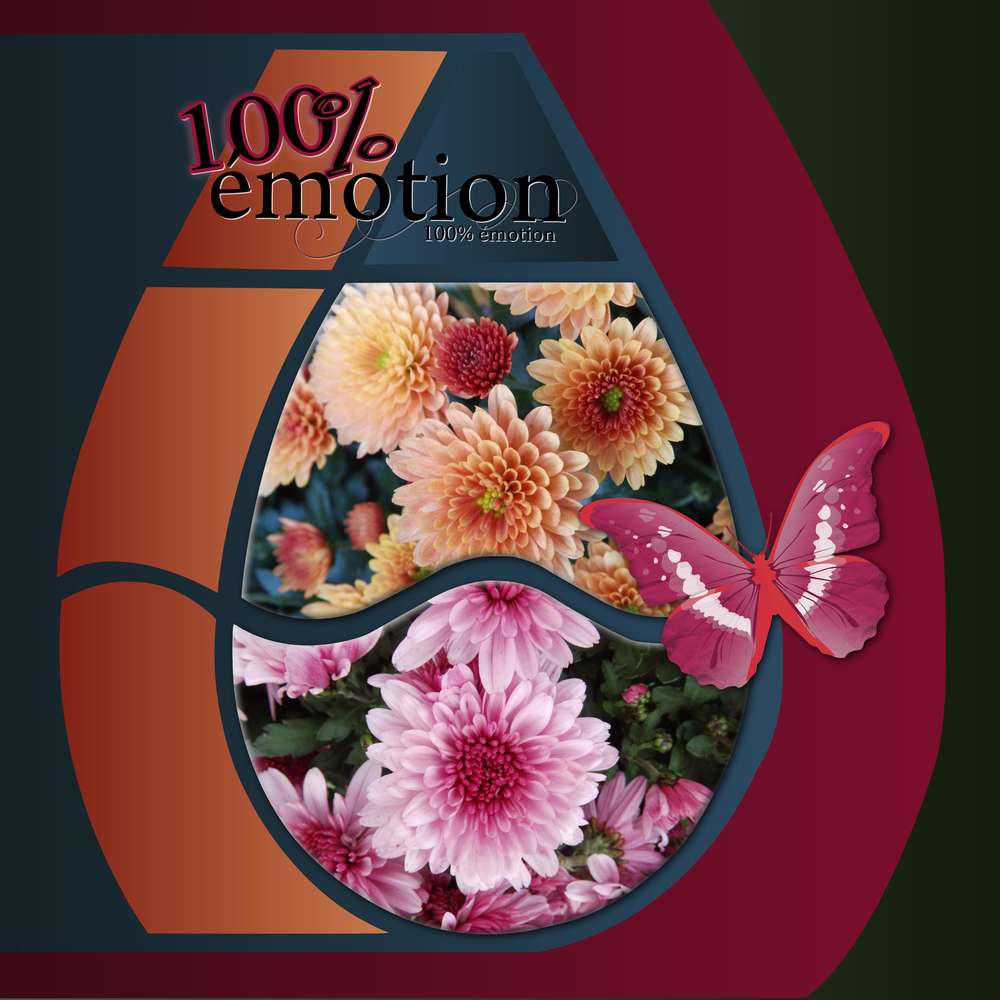 303-100% EMOTION