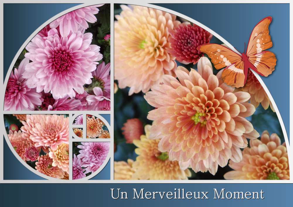 306-UN MERVEILLEUX MOMENT