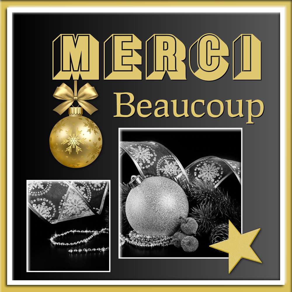 31-MERCI BEAUCOUP