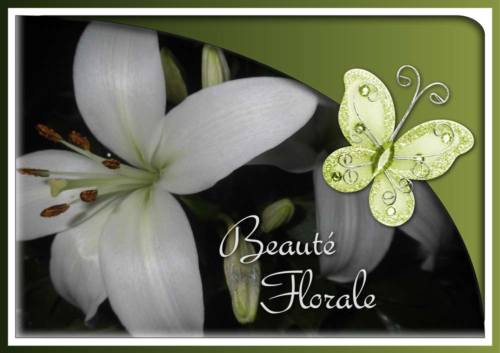 323-BEAUTE FLORALE