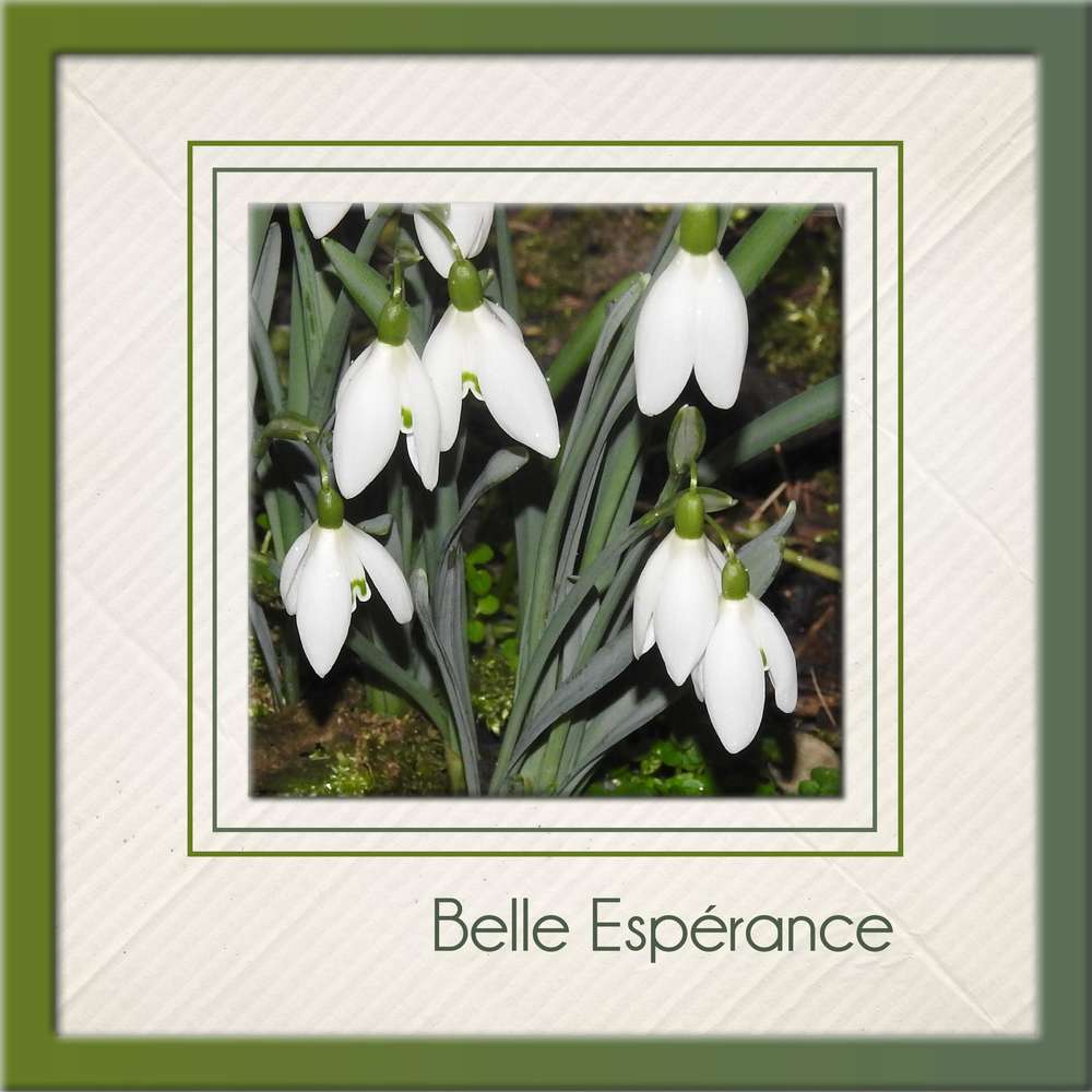 325-BELLE ESPERANCE