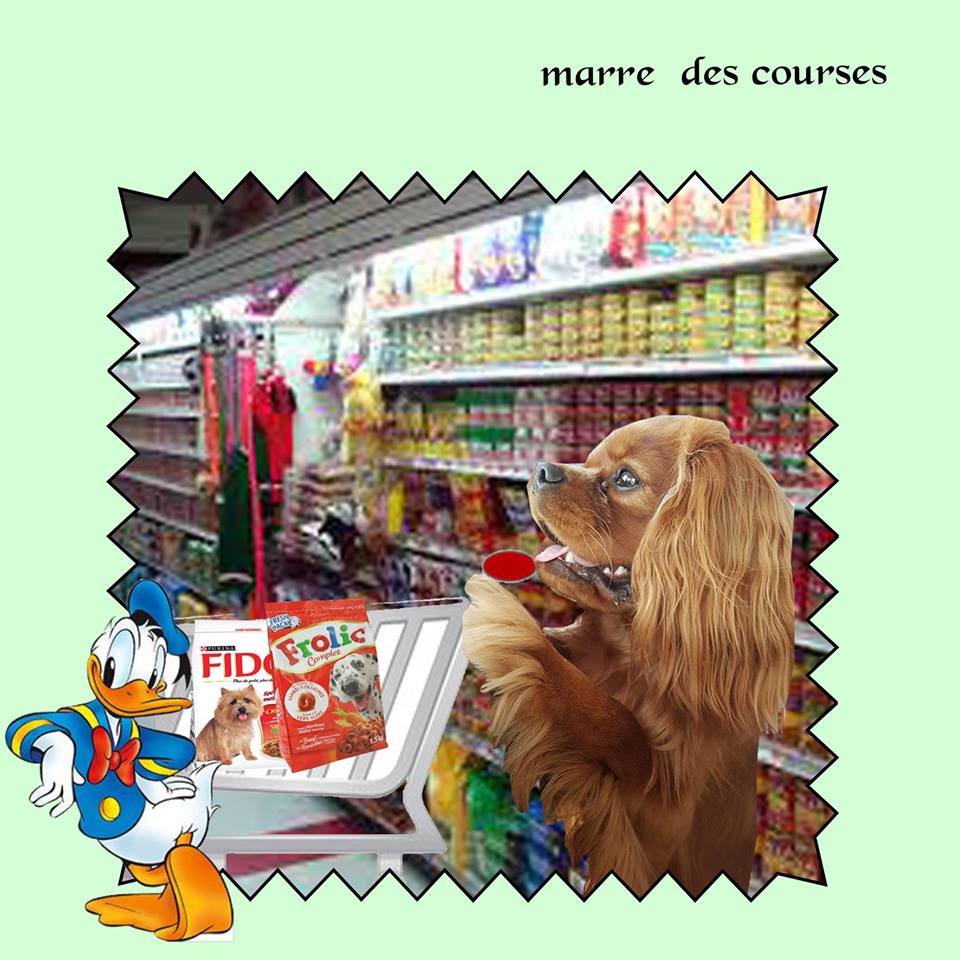 32882573_10216656194026726_4573289702290882560_n