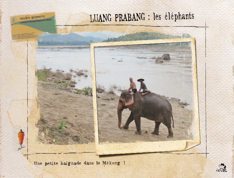 33 Laos éléphants