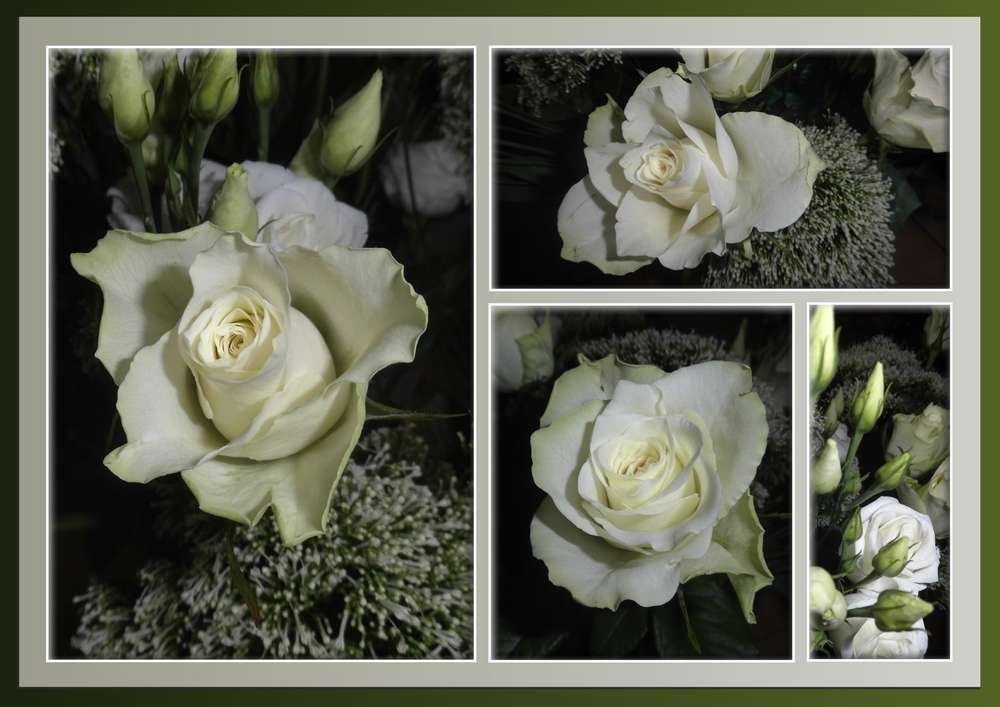 334-LA REINE DES FLEURS