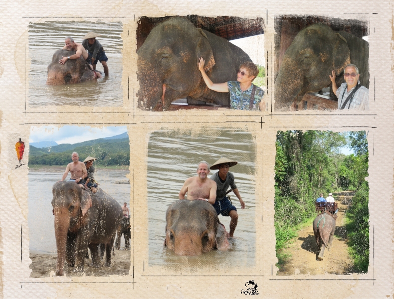 34 - Camp d'éléphants