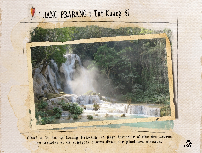 35 Parc forestier Laos