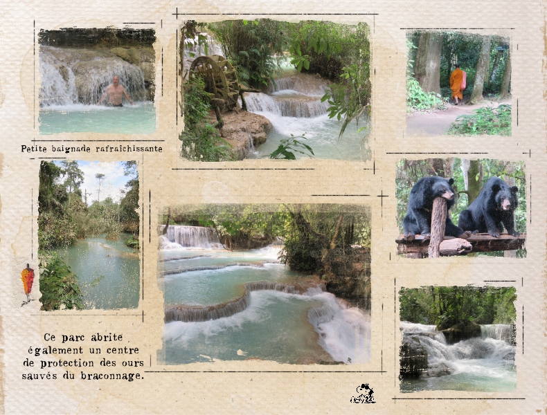 36 Parc forestier Laos