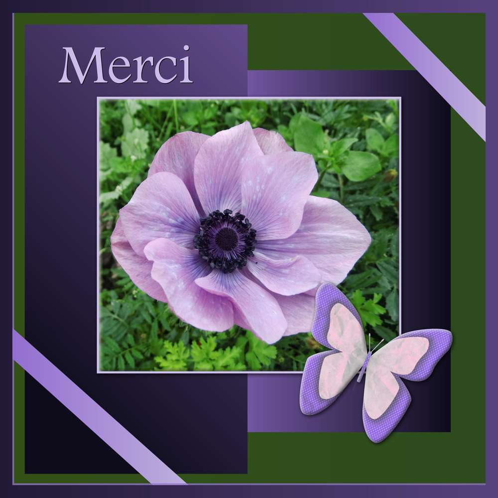 366-MERCI