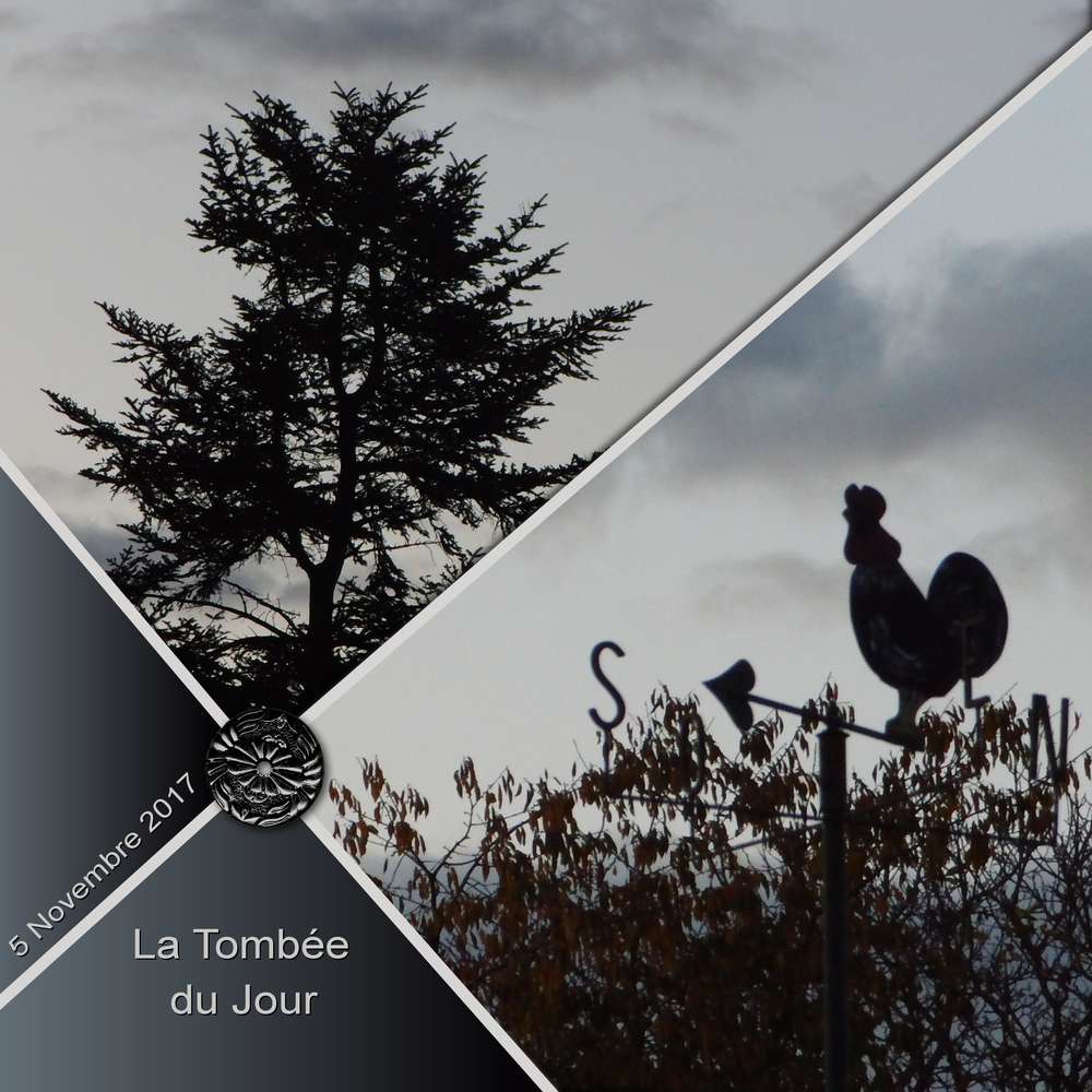 37-TOMBEE DU JOUR