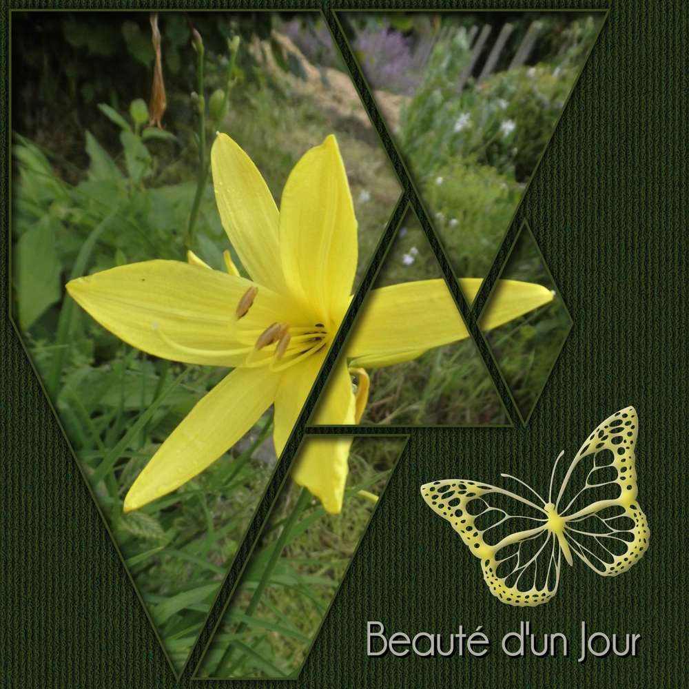 378-BEAUTE D'UN JOUR