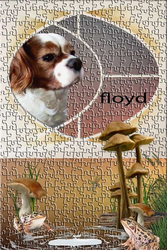 3aea0f58e7d9f5ce00924cc808a5439f