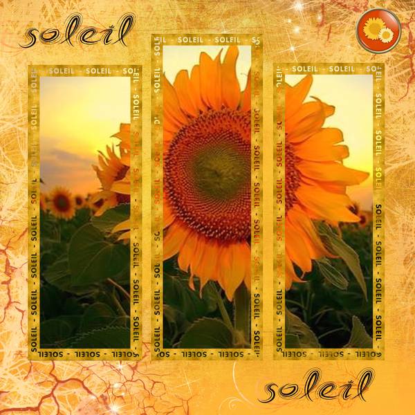 3eme___ssai_tripthique