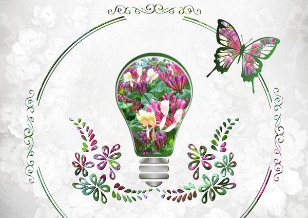 4-CREATION-AMPOULE FLEURIE