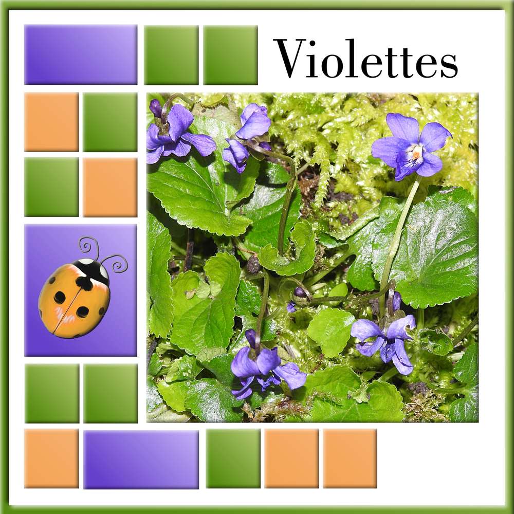 4-FLEUR(S) DE PRINTEMPS - JEUDI 2 AVRIL 2020