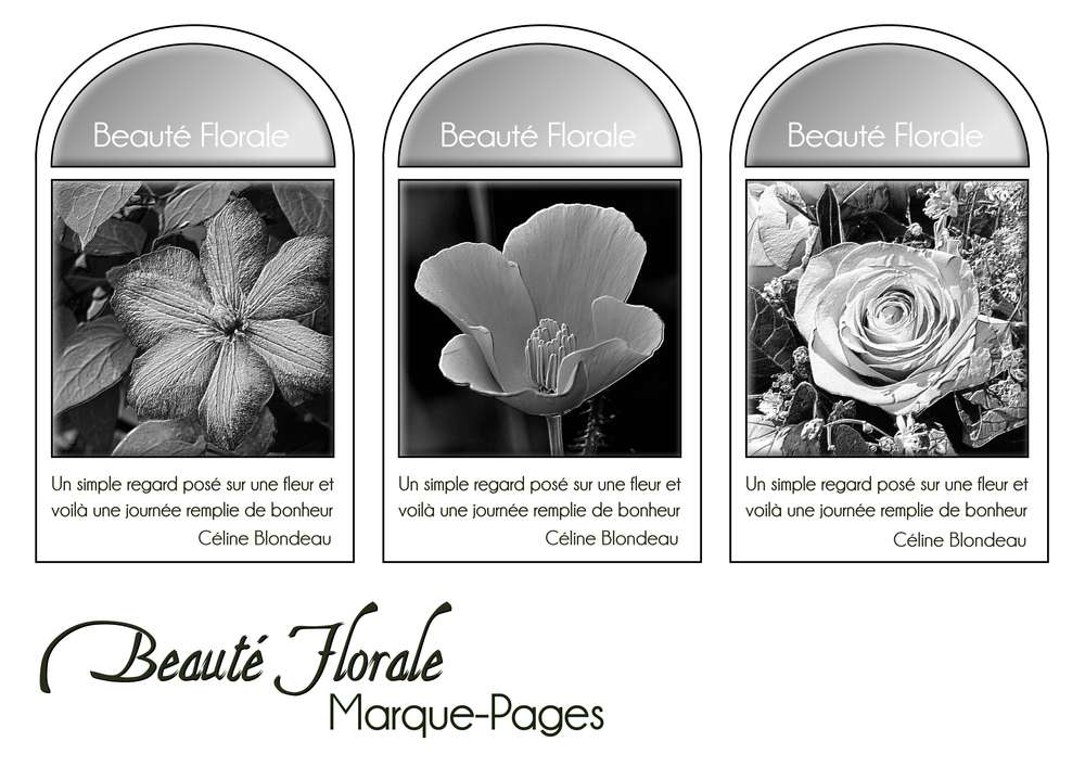 4-MARQUE-PAGES - BEAUTE FLORALE
