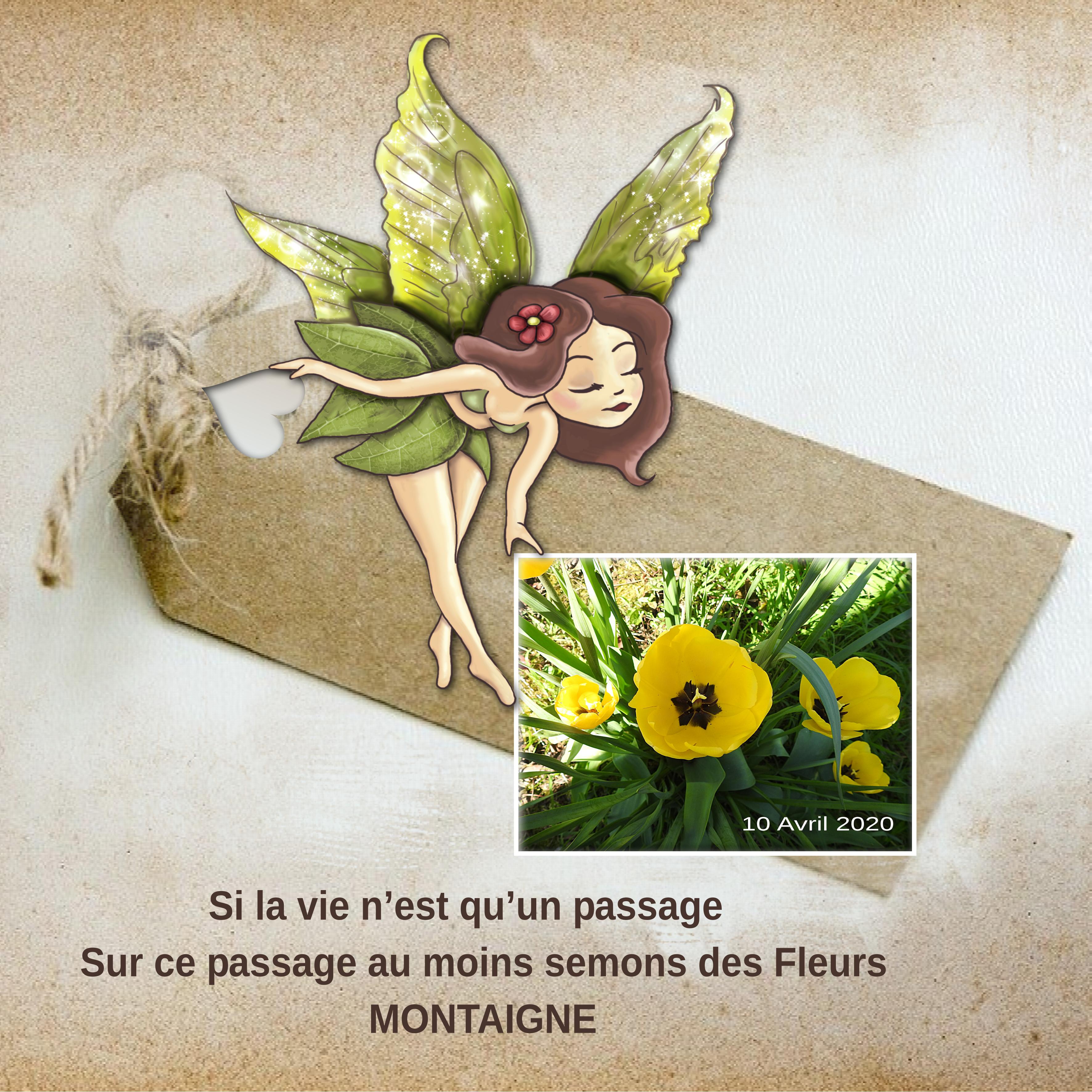 4-PAPIER KRAFT - LE SCRAPTOBER : CHALLENGE DU MOIS D'OCTOBRE