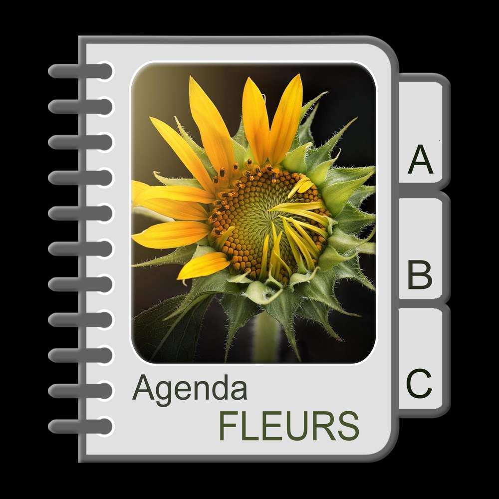 4-REALISATION - AGENDA FLEURS
