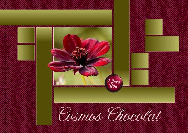 4-REALISATION DU CHALLENGE - COSMOS CHOCOLAT