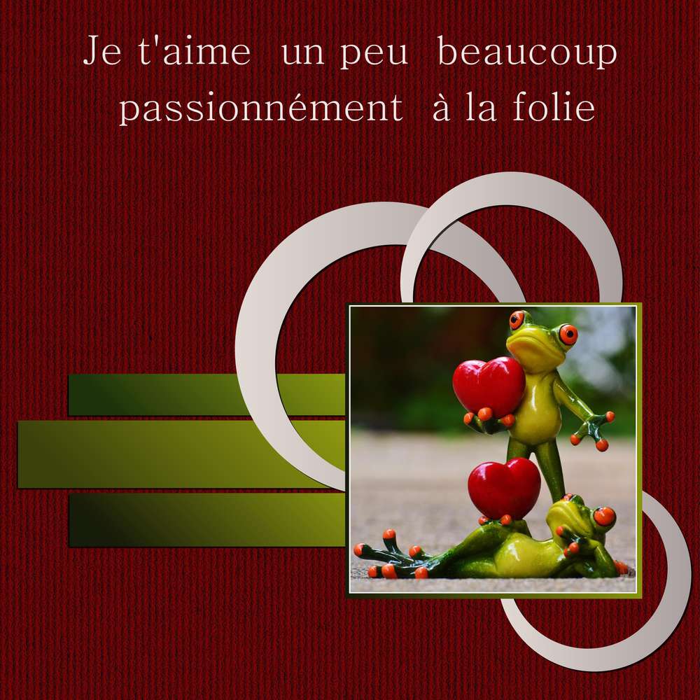 4-REALISATION - JE T'AIME-UN PEU-BEAUCOUP-PASSIONNEMENT-A LA FOLIE